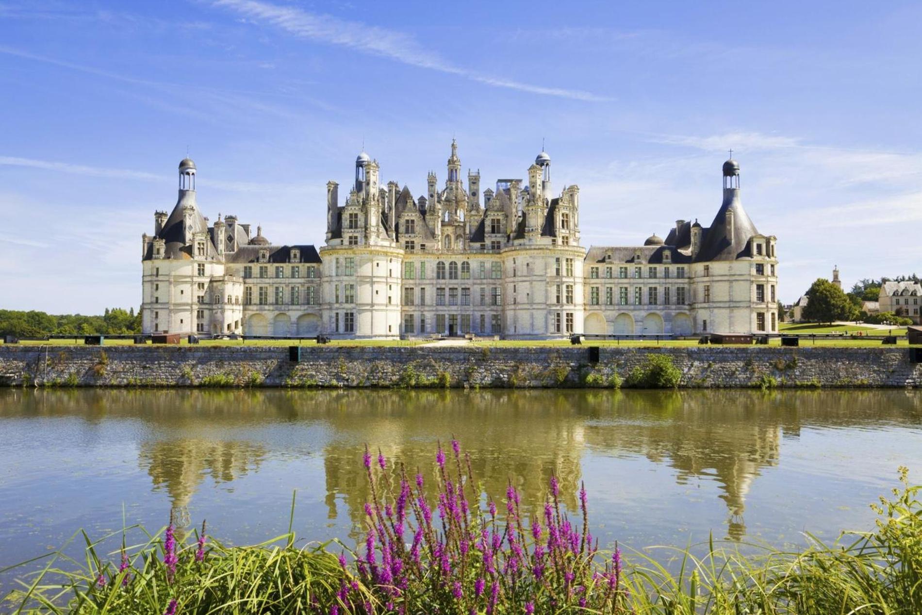 Echappee Royale Au Pied Du Chateau, Hyper-Centre - Royal Escape At Foot Of Castle, Hyper-Centre Blois Eksteriør bilde